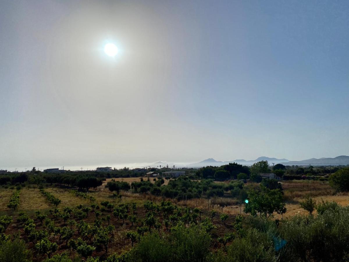 Sunset View Apartment, In The Nature, At Zipari "6" Zipárion 외부 사진